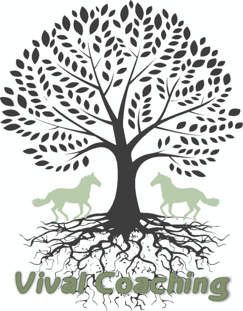 Vival Coaching in een nieuw jasje! Vival Coaching in een nieuw jasje!