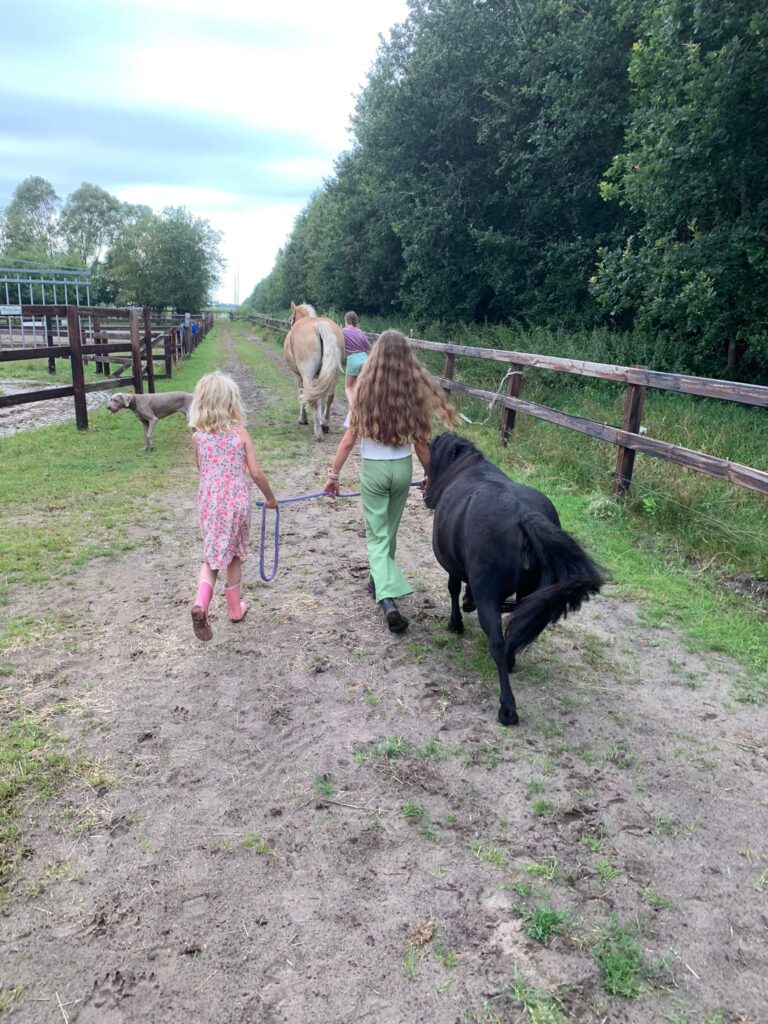 Veel plezier bij de Pony Pret Vakantiedagen